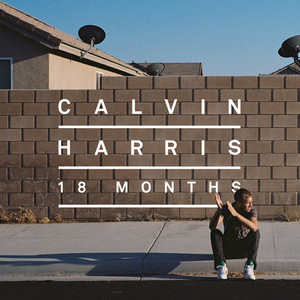 I Need Your Love (feat. Ellie Goulding) cover artwork